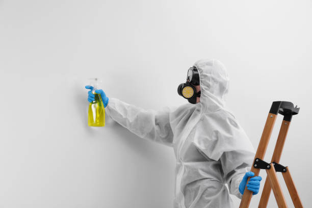 Professional Mold Removal & Remediation in Montrose, VA